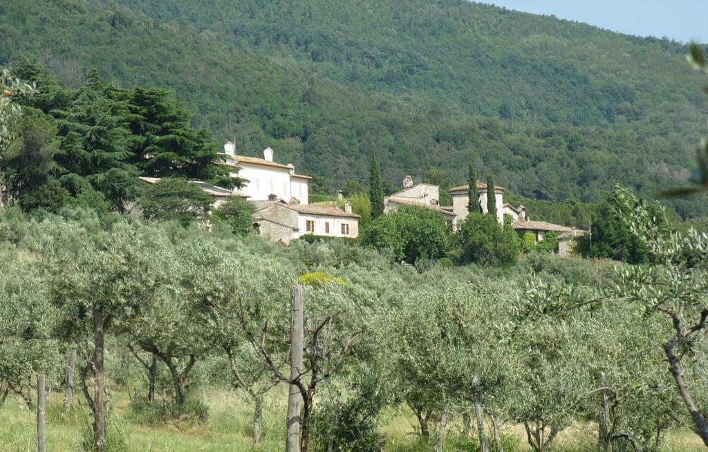 Della Genga Resort Arezzola 部屋 写真